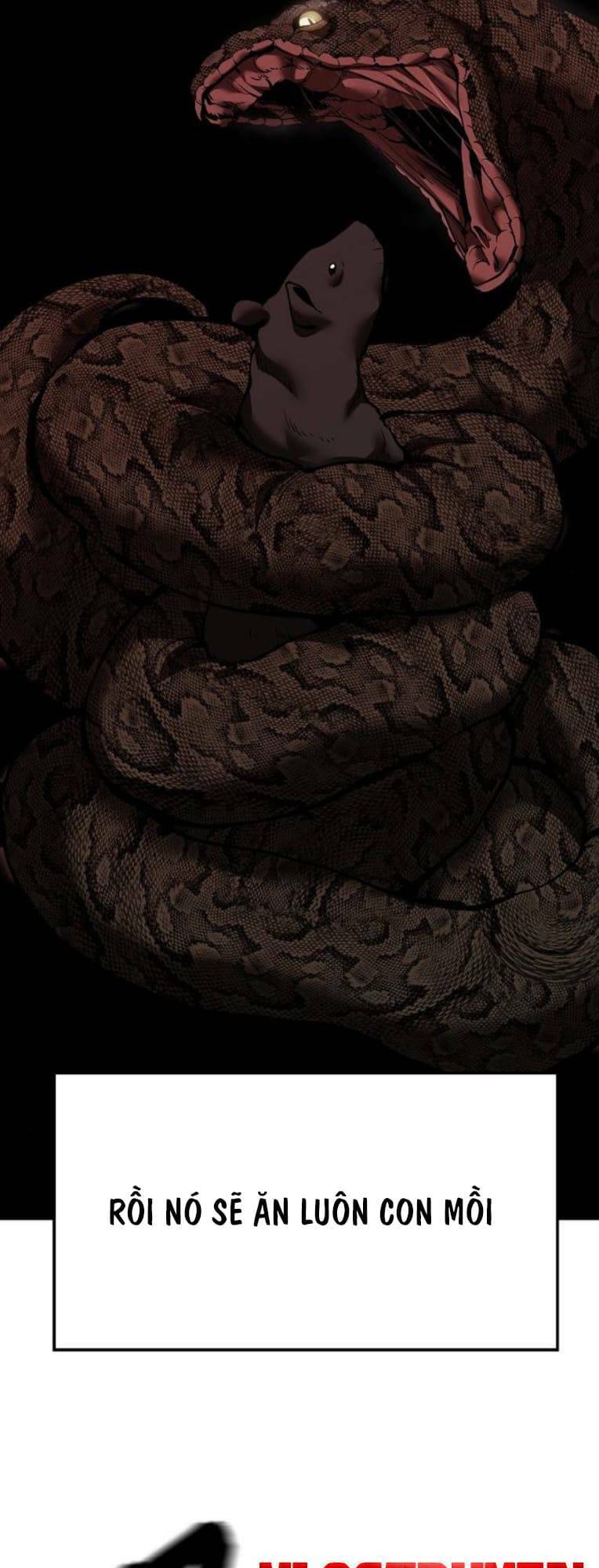 quản lí du côn chapter 62 96