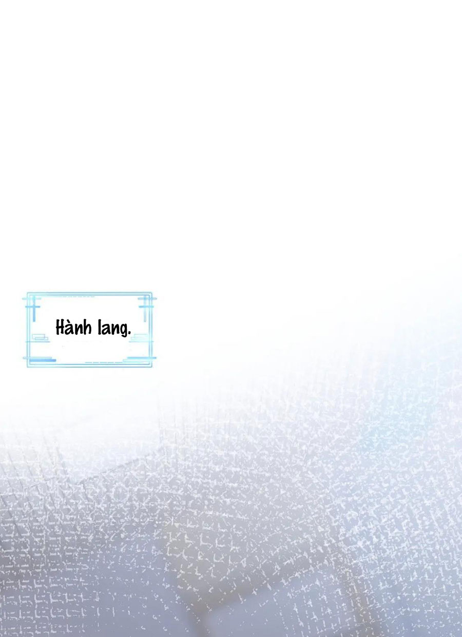 xin hãy ly hôn chapter 95 1