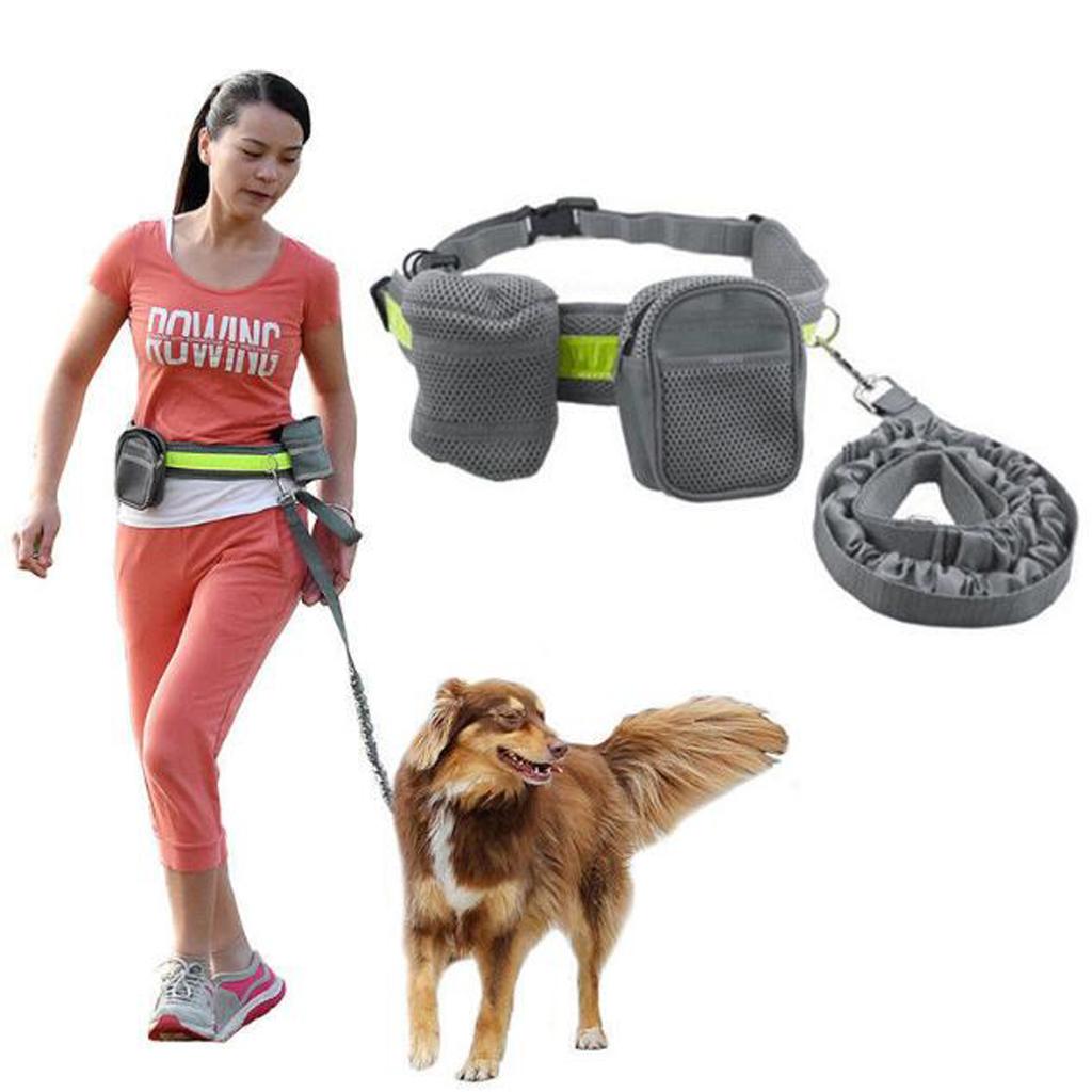 Dog Leash Lead w/ Waist Pouch Handsfree Reflective Buckle Belt Harness