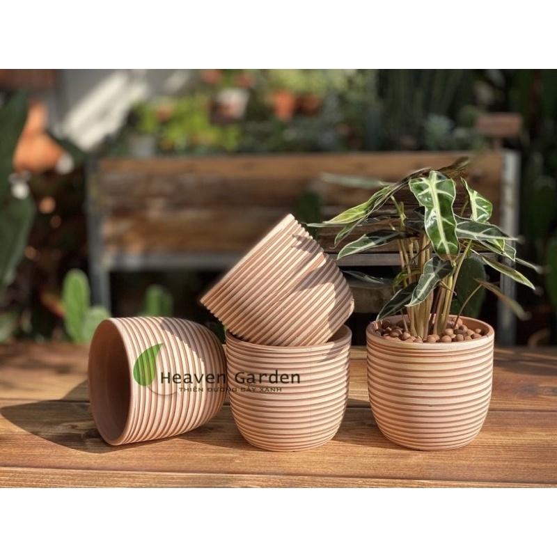 Chậu đất nung trứng sơn trắng sọc ngang 14x14cm- chậu trồng cây