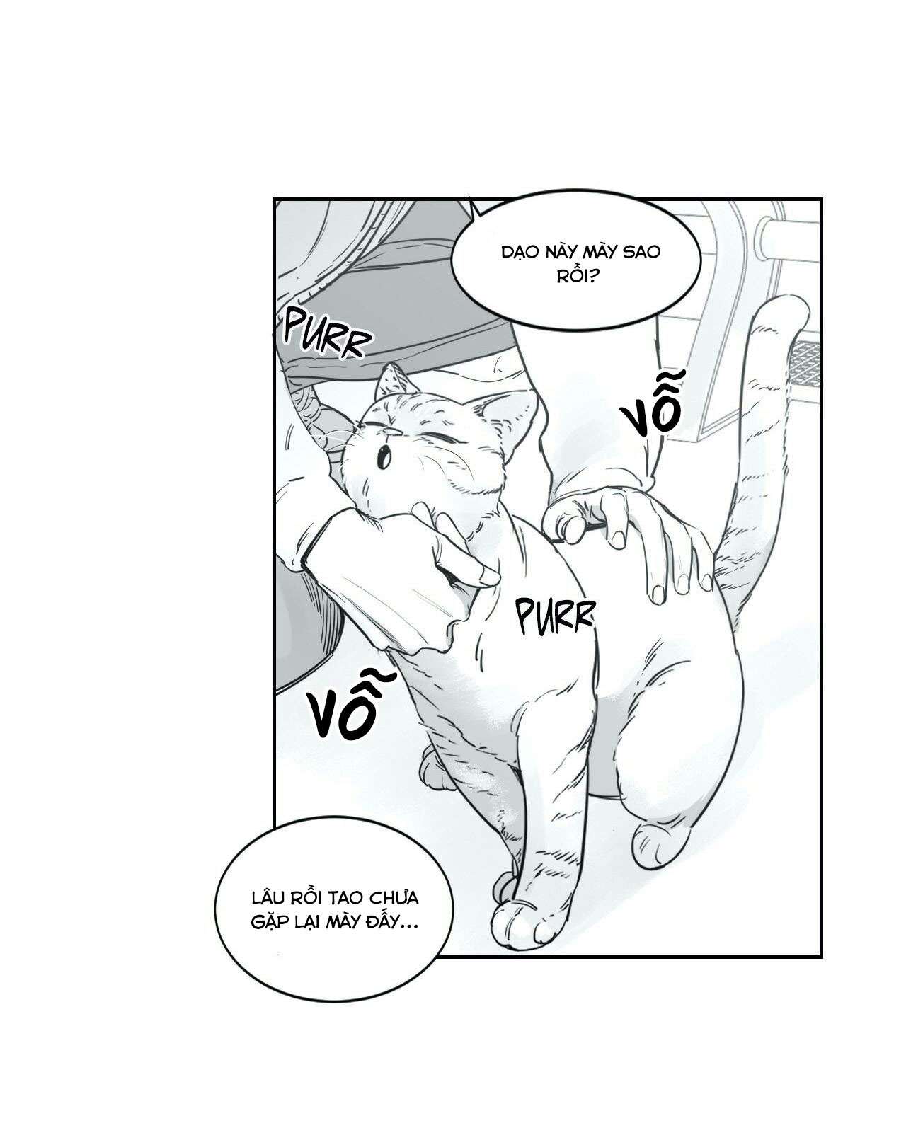 hyesung à, lại gần tôi nào! chapter 22 11