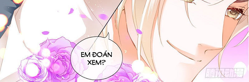 lóe thiểm hôn kiều thê mơ tưởng trốn chapter 259 13