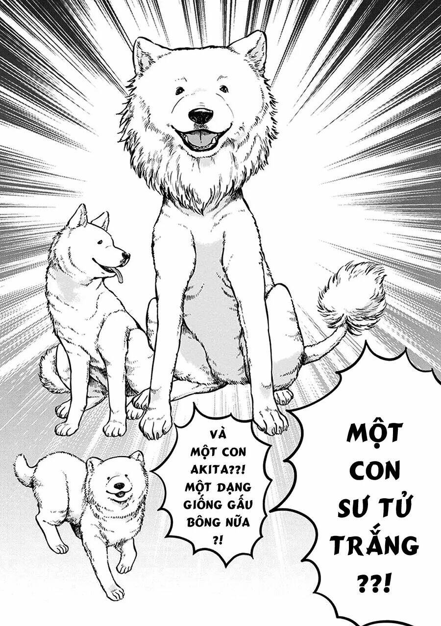 one-room wanko chapter 1 29