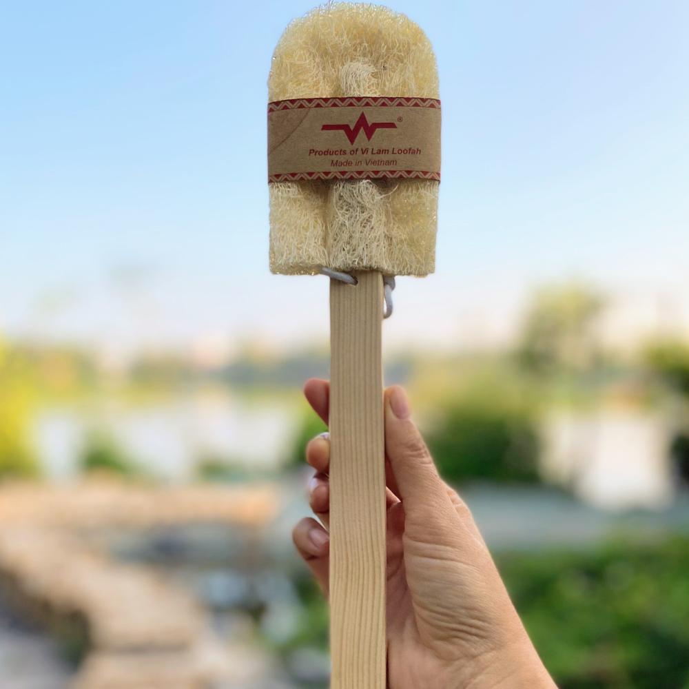 Cây Rửa Ly 2 Cánh Xơ Mướp Vi Lâm - Rửa Sạch Ly Tách - Thân Thiện Môi Trường