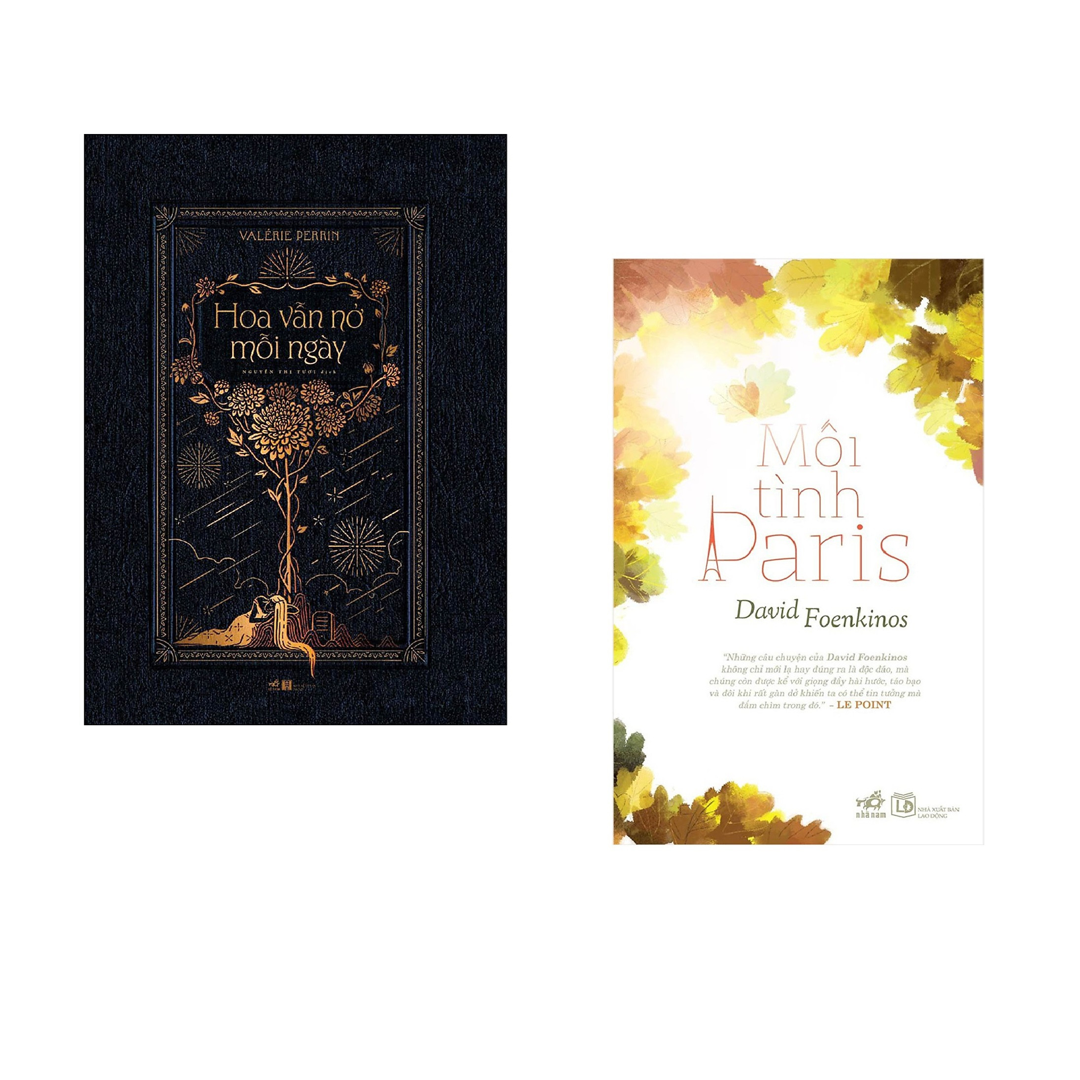 Combo 2 cuốn sách: Hoa vẫn nở mỗi ngày + Mối tình Paris