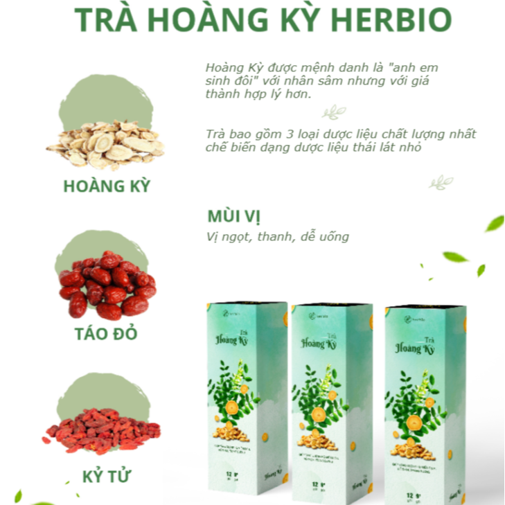 Trà thảo mộc Hoàng Kỳ Herbio - giúp tăng cường hệ miễn dịch, bổ thận tráng dương - hộp 12 gói x 9gr