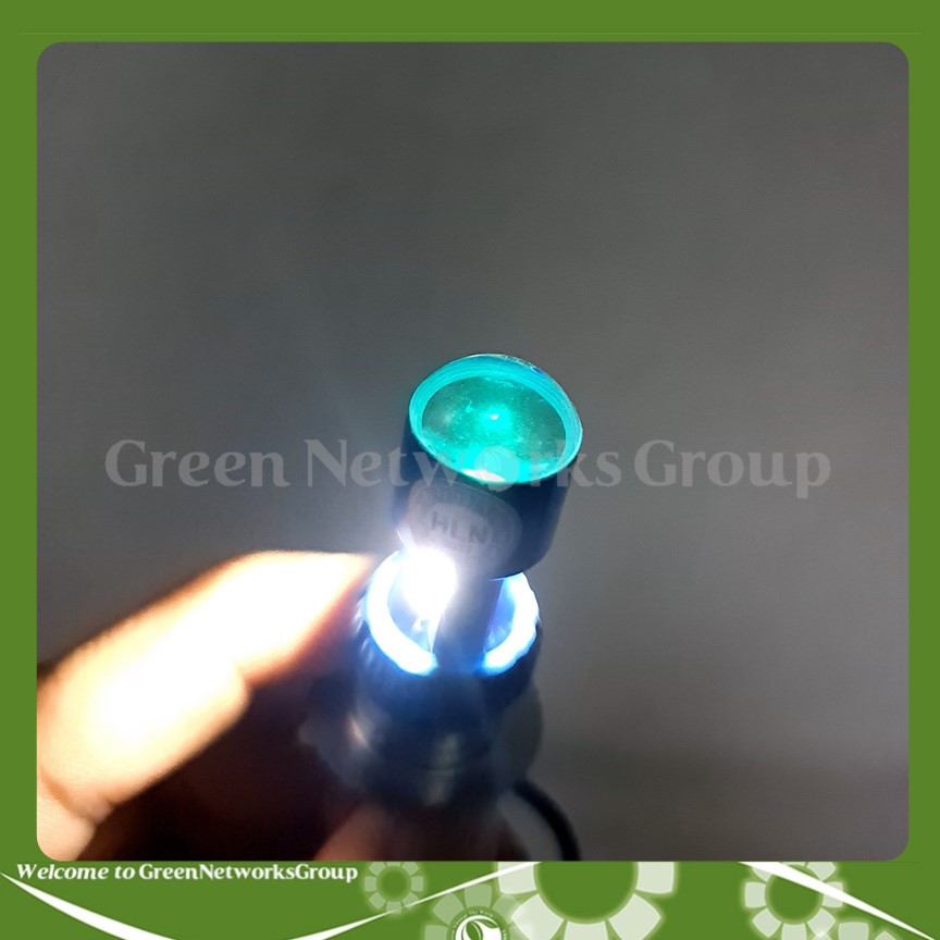 Đèn pha led 2 tim chân H4 chân M5 có bi cầu trên đầu Green Networks Group ( 1 cái