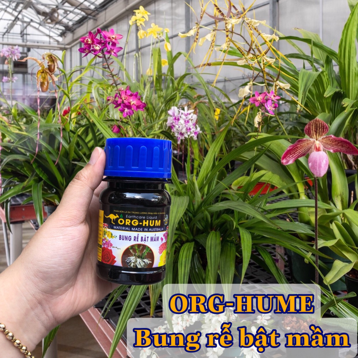 Phân bón lá ORG -HUME kích rễ cây trồng cực tốt chai 100ml