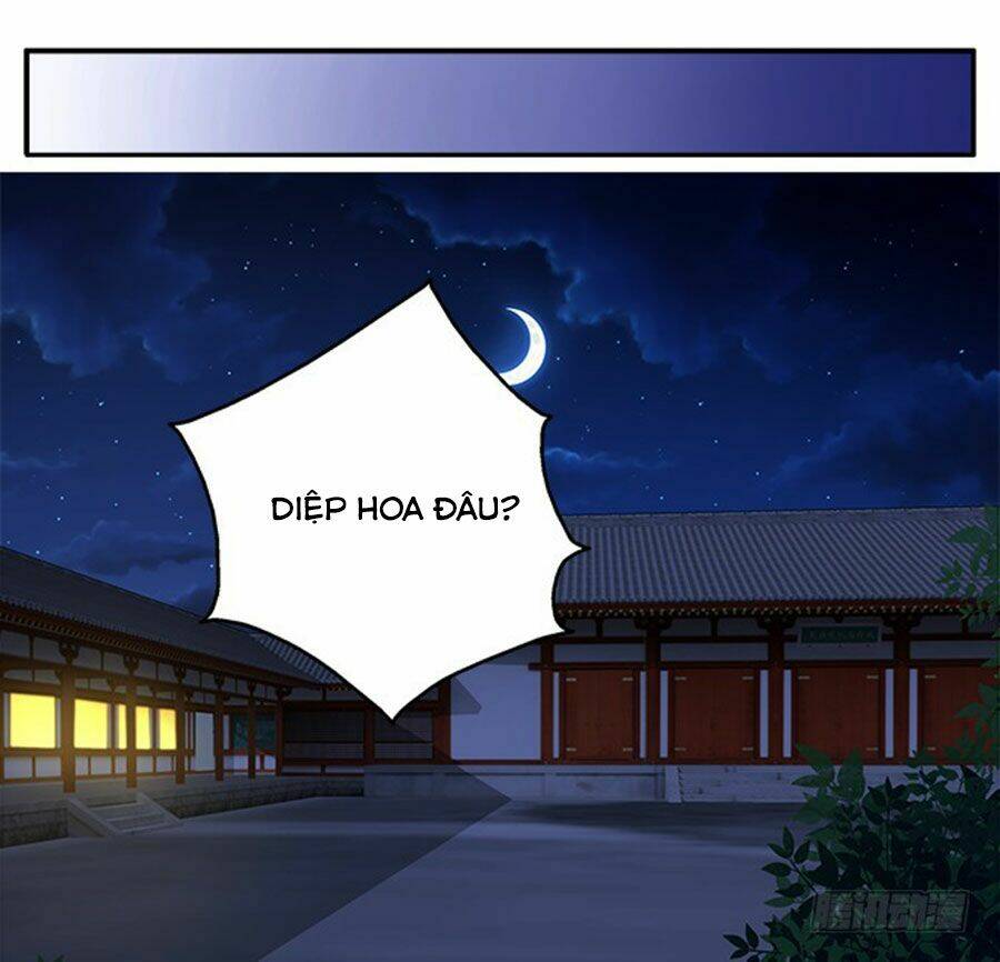 thịnh thế an nhiên chapter 36 36