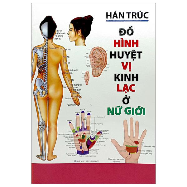 Đồ Hình Huyệt Vị Kinh Lạc Ở Nữ Giới