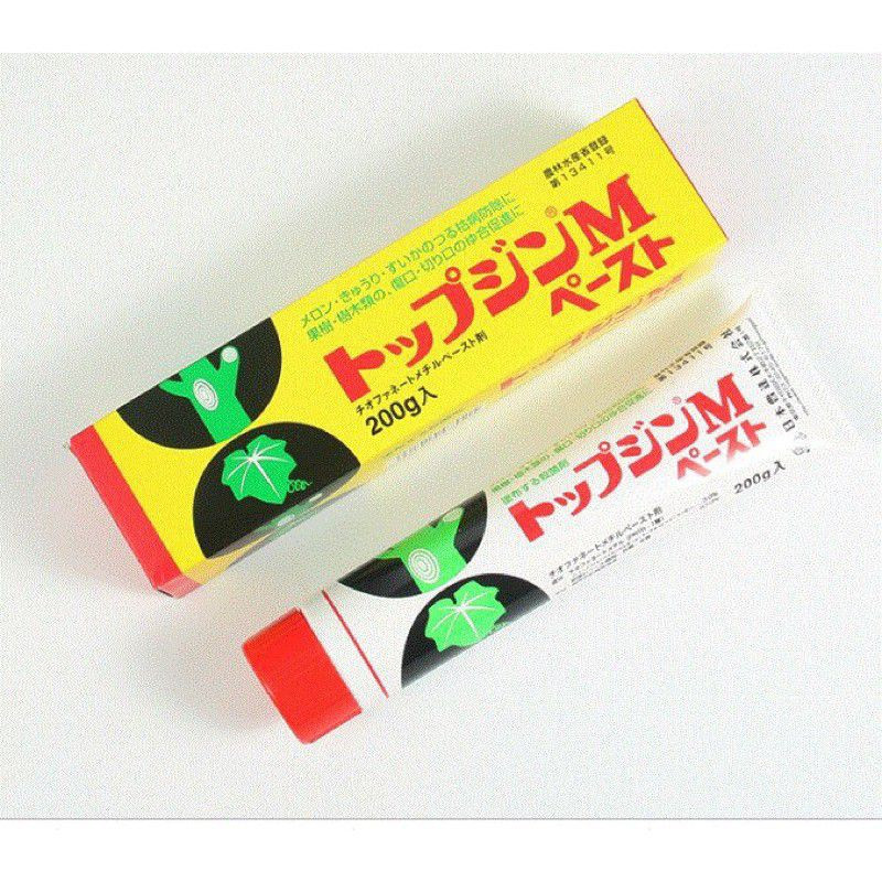 KEO LIỀN SẸO CHO CÂY KIỂNG TOP JIN M PASTE NHẬT BẢN - 200g