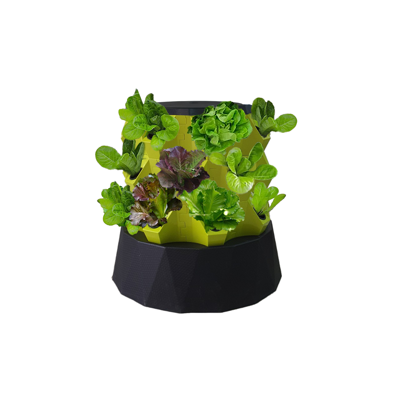 THÁP TRỒNG RAU THỦY CANH THÔNG MINH GREEN KONOHA - 3 TẦNG