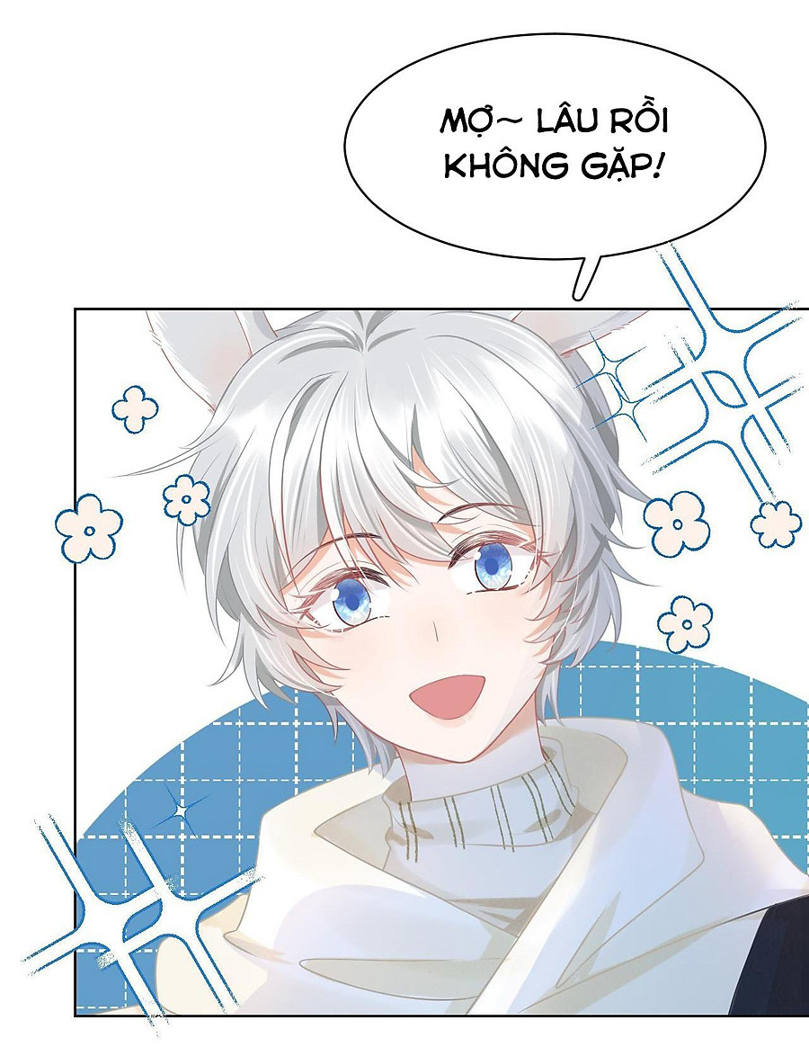 [ss2] một ngụm ăn cả thỏ con chapter 0 20