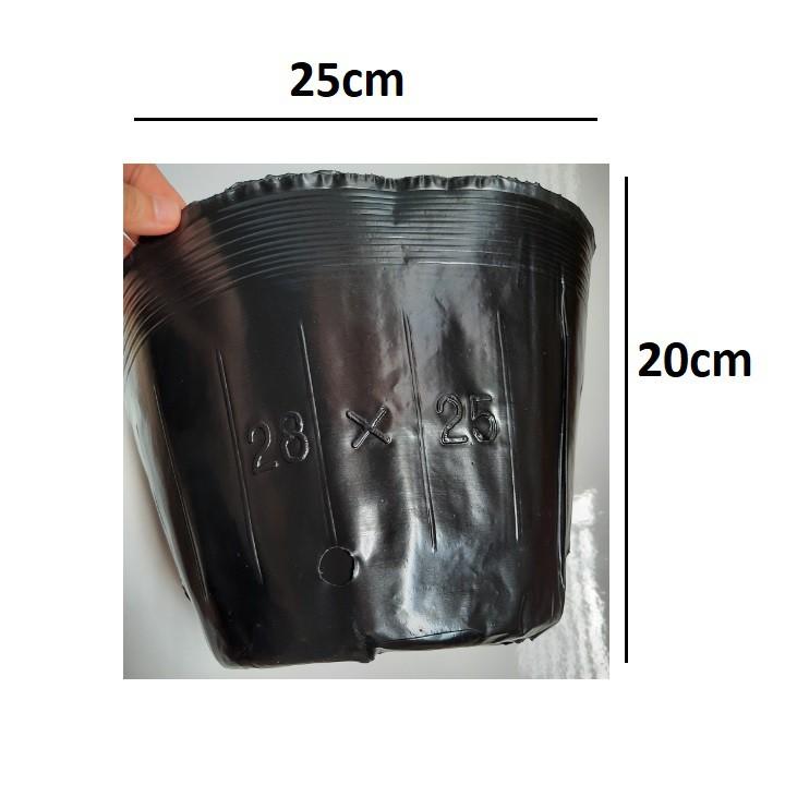 1kg bầu ươm cây nhựa dẻo 28.25
