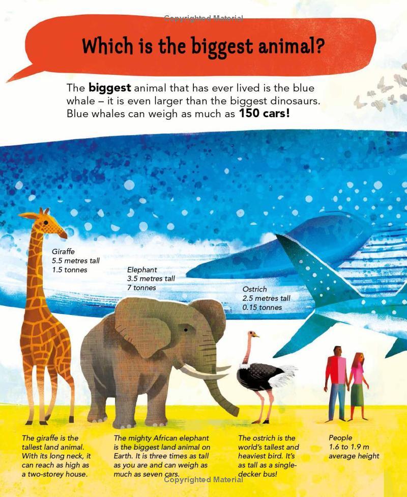 Sách ngoại văn: I Wonder Why Camels Have Humps