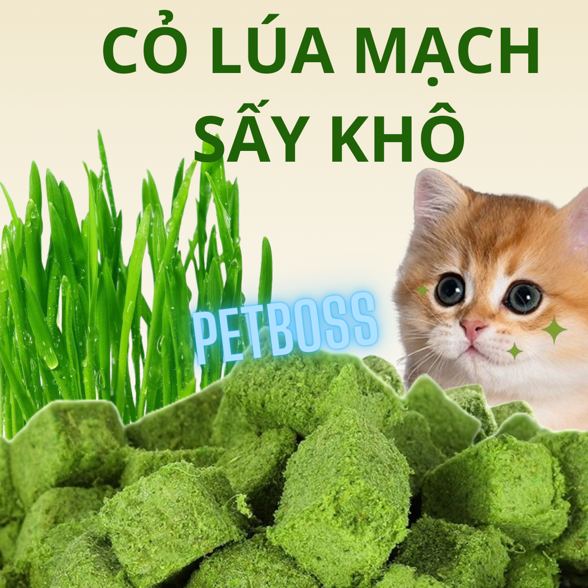 CỎ LÚA MẠCH CHO MÈO SẤY KHÔ GÓI 20GR