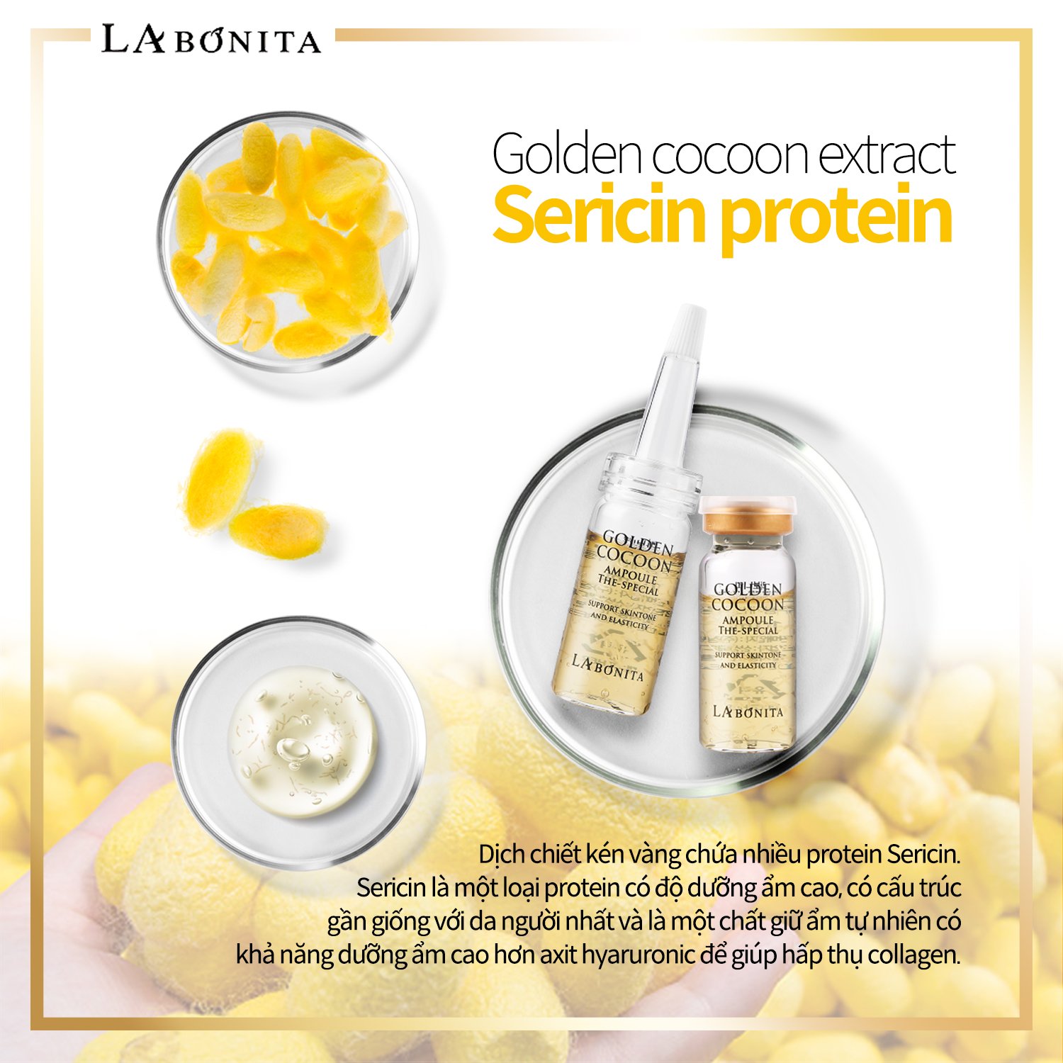 Set 4 lọ tinh chất kén tằm vàng - LA BONITA Golden Cocoon Ampoule The-Special lọ 10mlx4