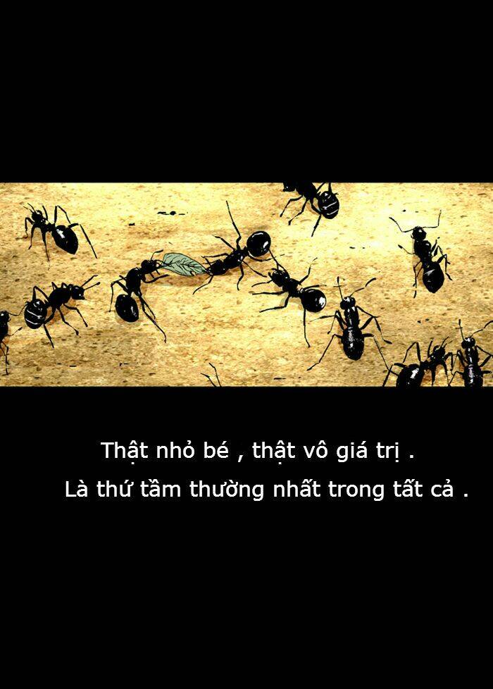 đôi mắt từ trái tim chapter 17 53