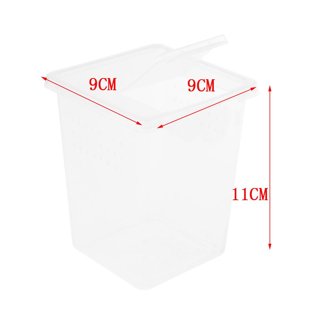 2x Clear Plastic Insect Spider Habitat Feeding Box Cage Container 3x3x4 inch
