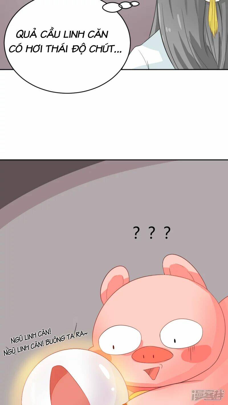 đệ tử của ta là heo chapter 2 24