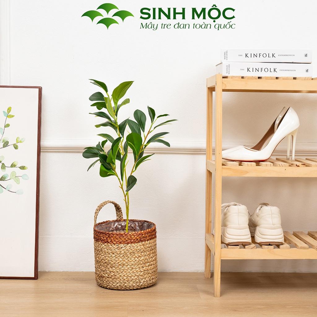 Giỏ cói trồng cây, giỏ cói đựng đồ, giỏ mây tre đan Sinh Mộc thân thiện với môi trường - M1004