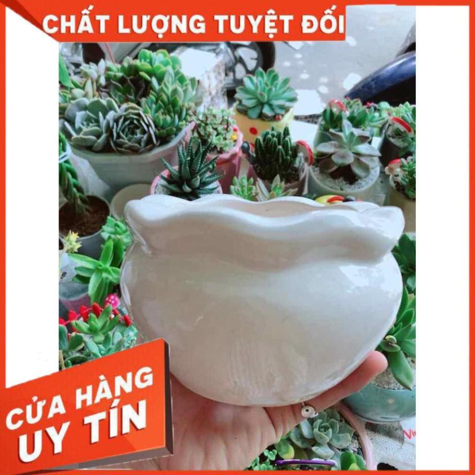 Chậu tráng men trồng cây Nhiều Người Mua