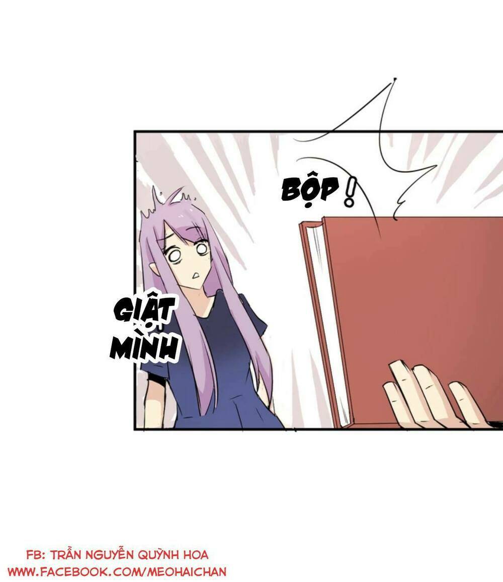 quy tắc mỹ nam chapter 2 16