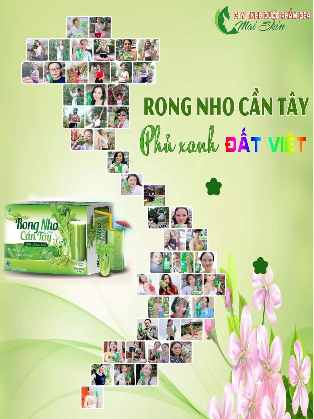 RONG NHO CẦN TÂY OGARNIC - DIỆP LỤC /TẢO XOẮN