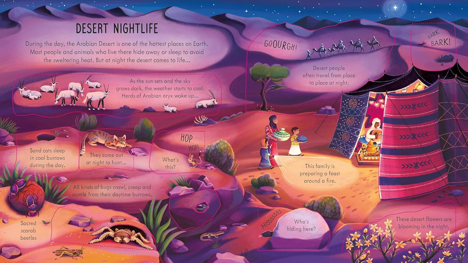 Sách ngoại văn: Look Inside Night Time