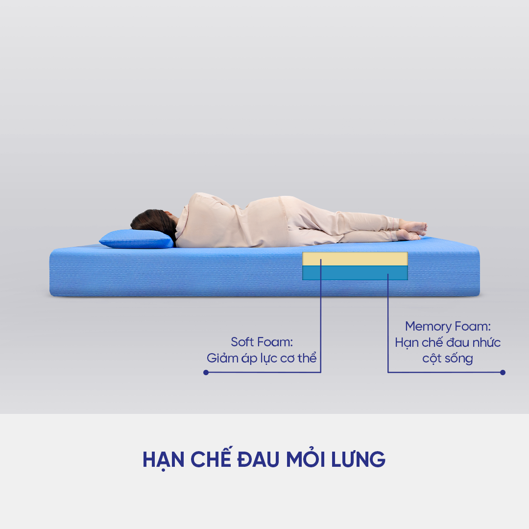 Combo cao cấp Đệm Gối Foam Amando Pisa mềm mại, êm ái, nâng đỡ và ôm sát cơ thể