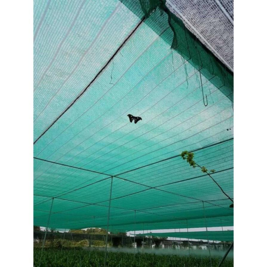 Lưới che nắng thái lan màu xanh, màu đen khổ 2m, 3m, 4m