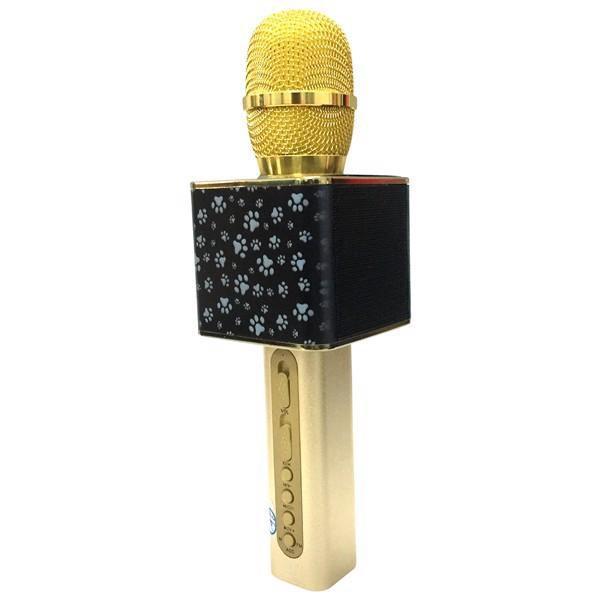 micro karaoke bluetooth