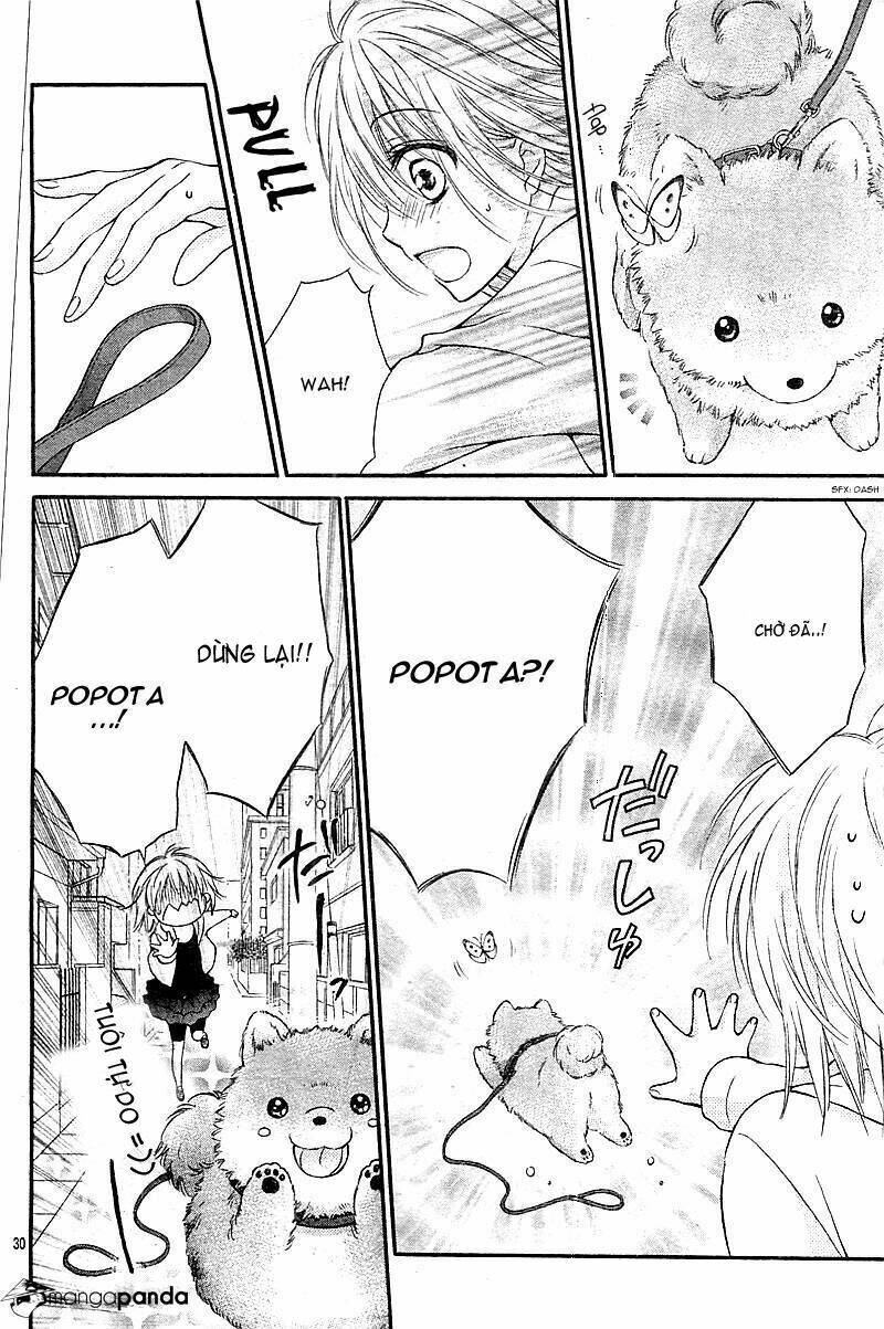 hatsukoi dandelion chapter 1 33