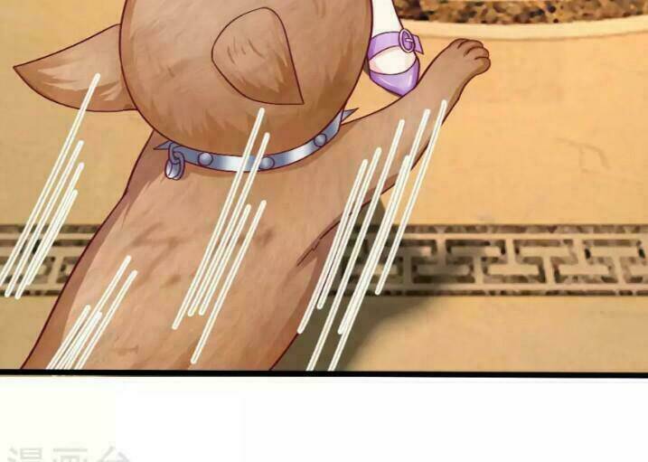 từ chối kết hôn với đại gia: cô dâu bỏ trốn chapter 48 4