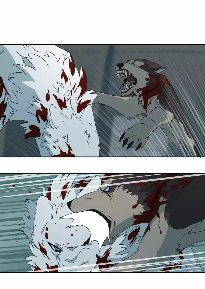 lumine - cội nguồn ánh sáng chapter 28 21