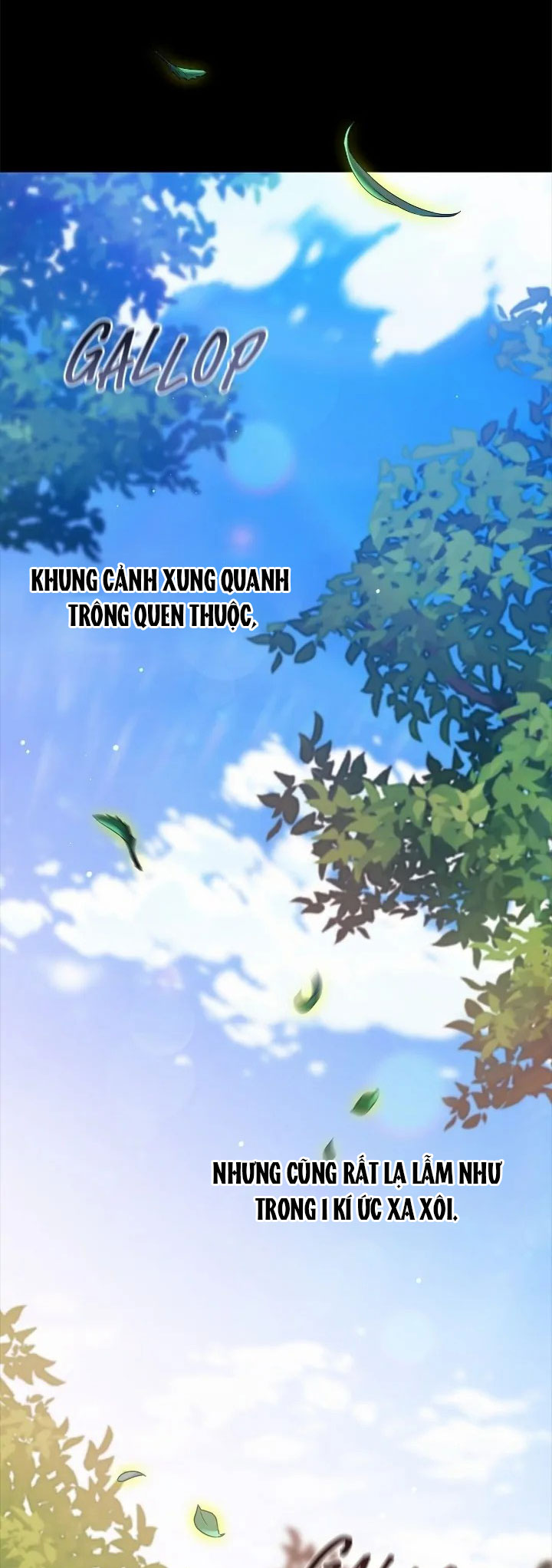 tôi mới là người quyết định cuộc hôn nhân này chapter 62 11