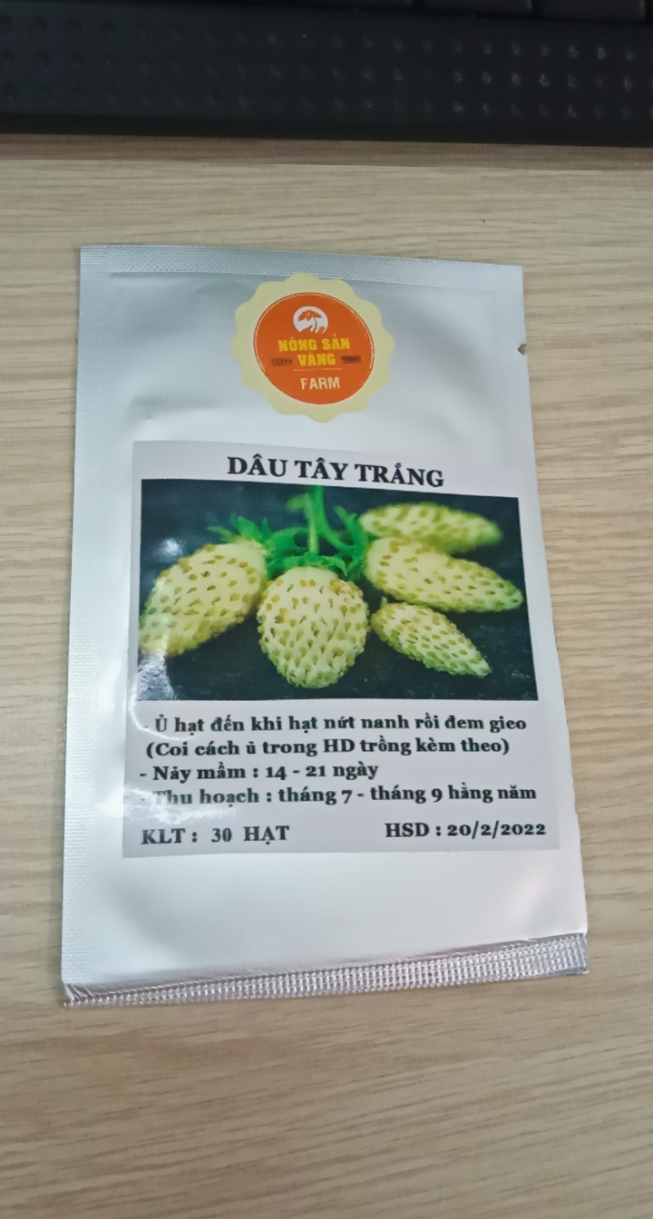 Hạt giống Dâu Tây Trắng - Nông Sản Vàng