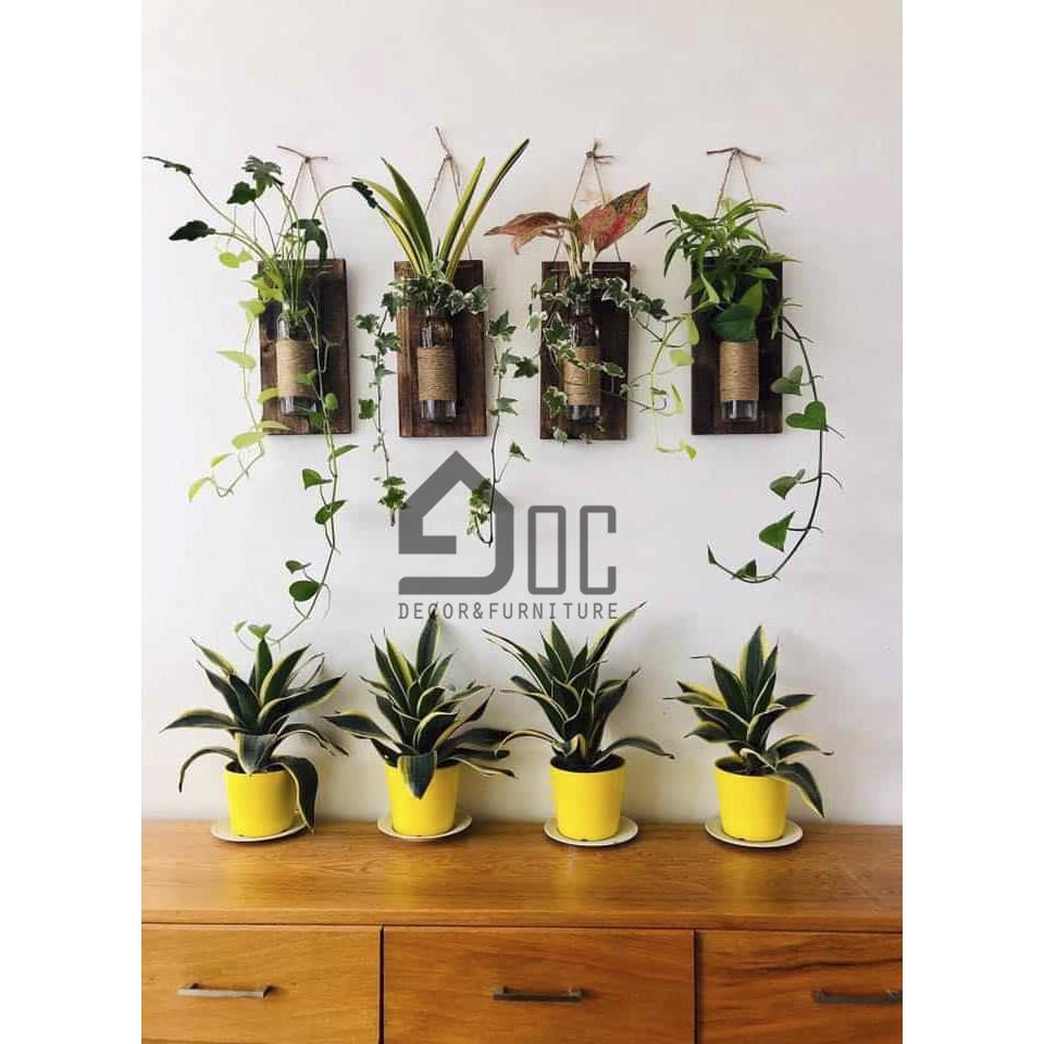 Bảng gỗ lọ hoa thủy tinh treo tường phòng khách, ban công độc đáo Góc decor