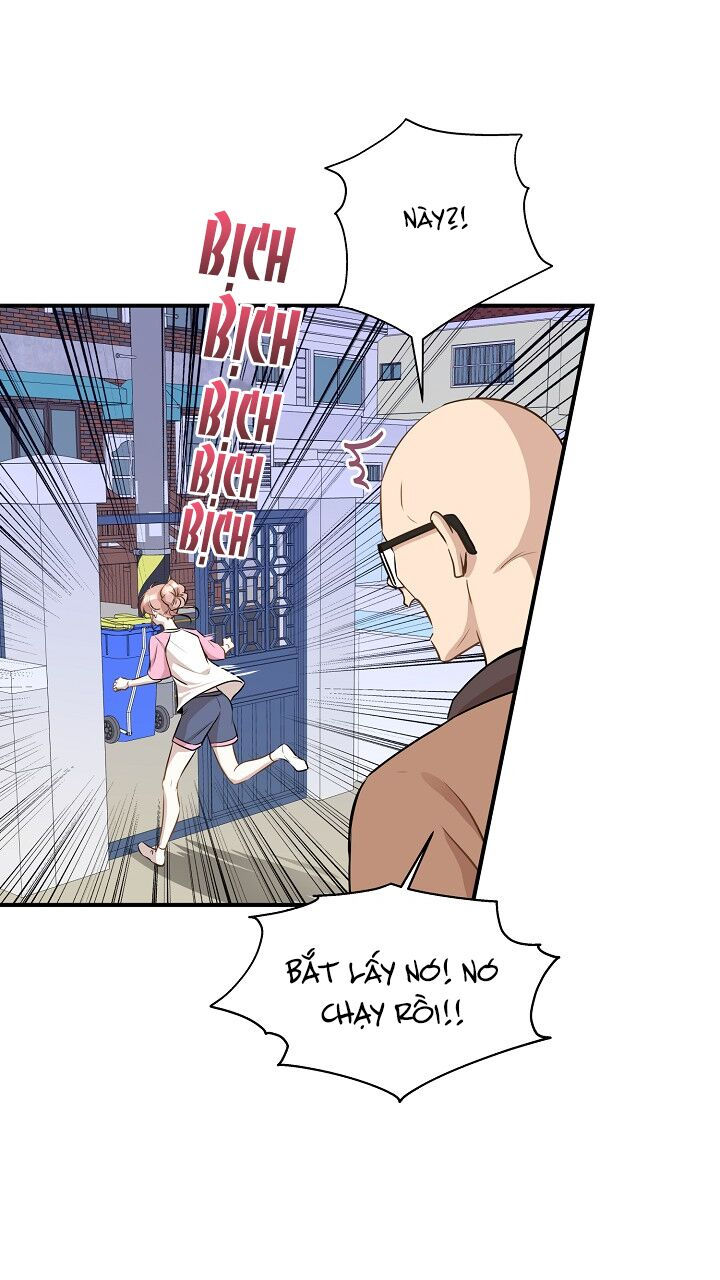 cuộc sống kỳ thú chapter 59 9