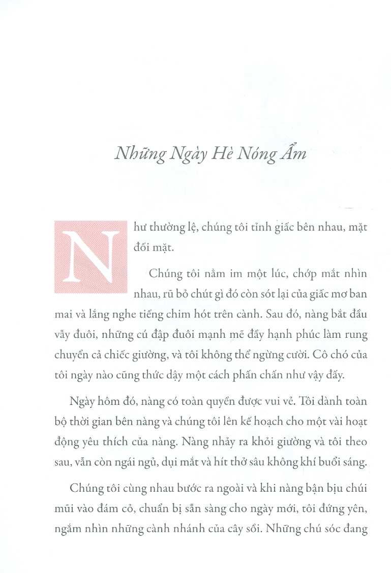 Thị Trấn Chuyện Kể - Nghi Thức Nghi Lễ Dành Cho Người Trưởng Thành
