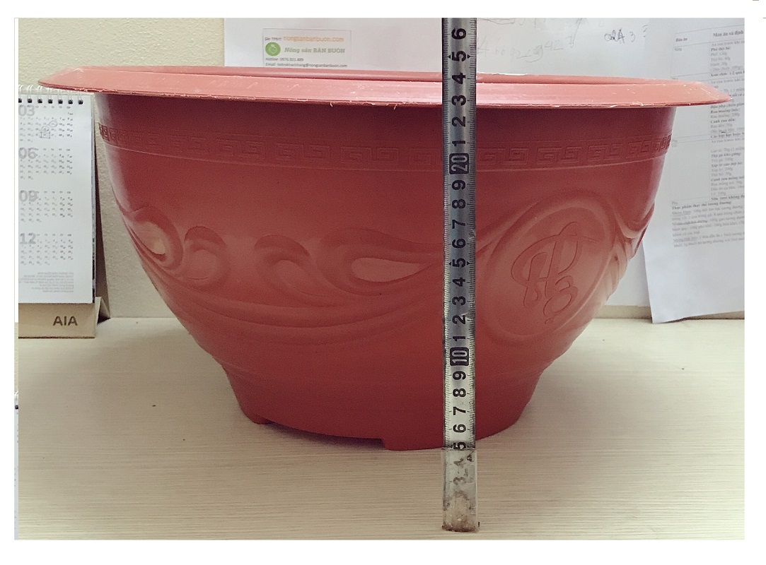 2 Chậu Nhựa Trồng Hoa, Cây Cảnh PLT 480