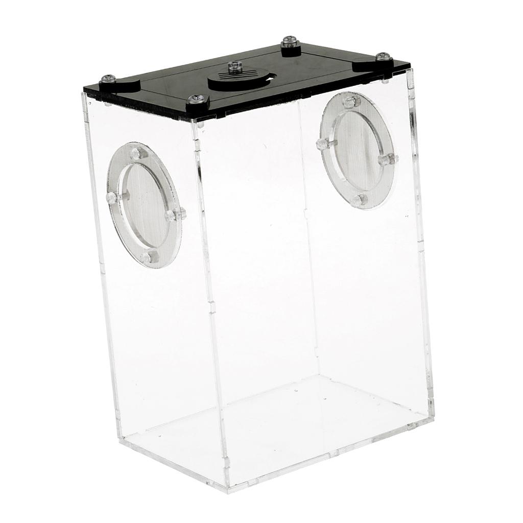 Reptiles Feeding Container Snake Insect Frog Breeding Tank Box Case