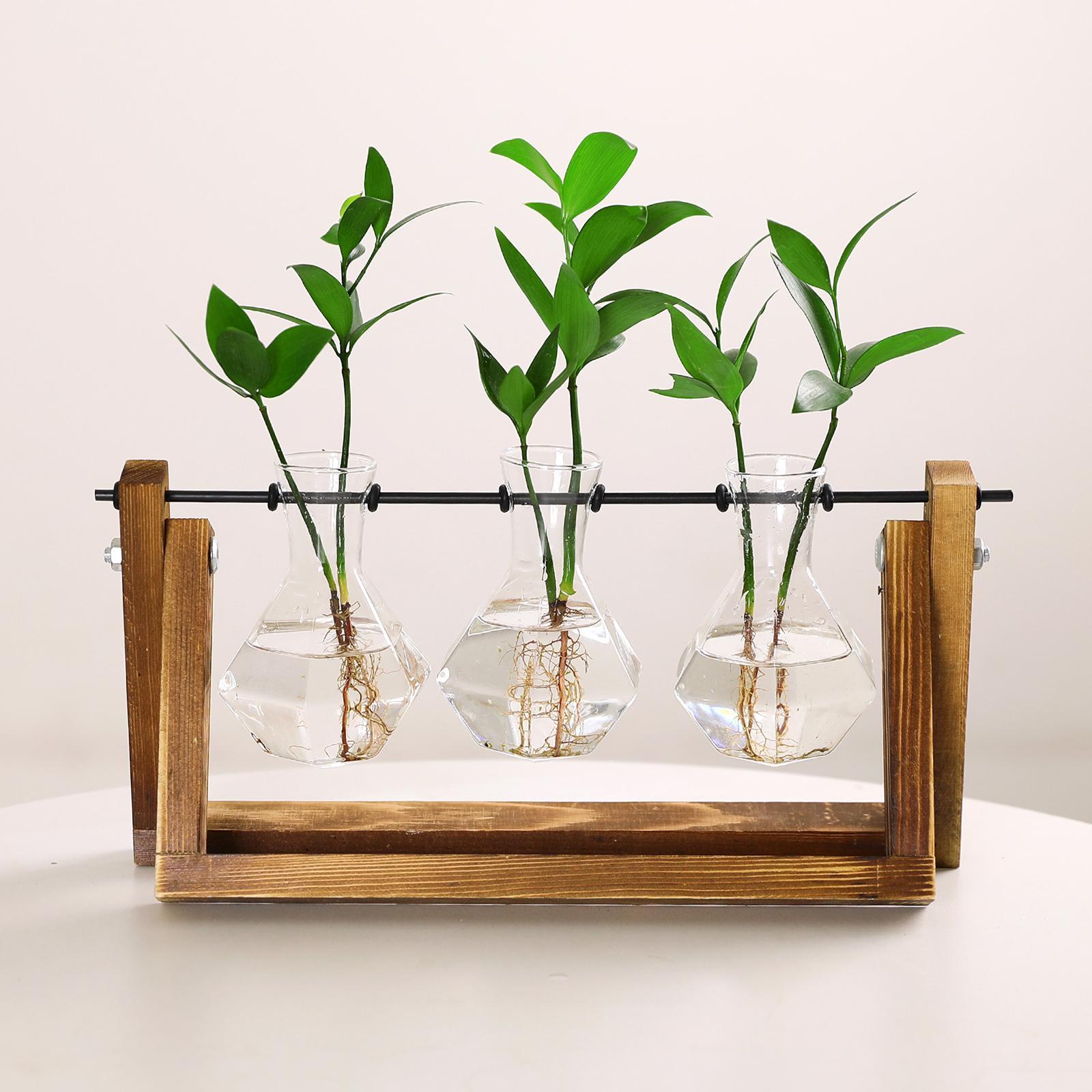 Glass Plant Terrarium Flower Bud Vase Hydroponics Wooden Rack Geometric Shelf