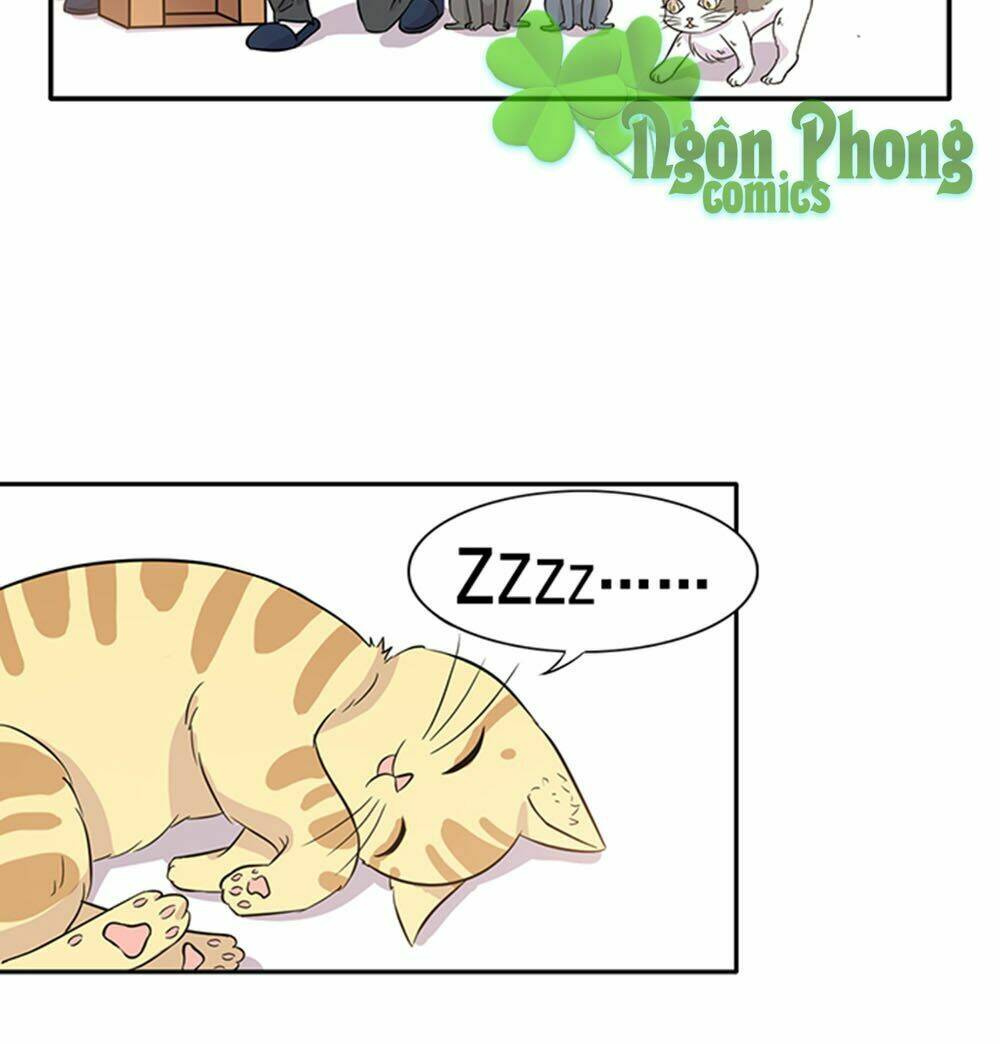 hai chú mèo totem chapter 15 3