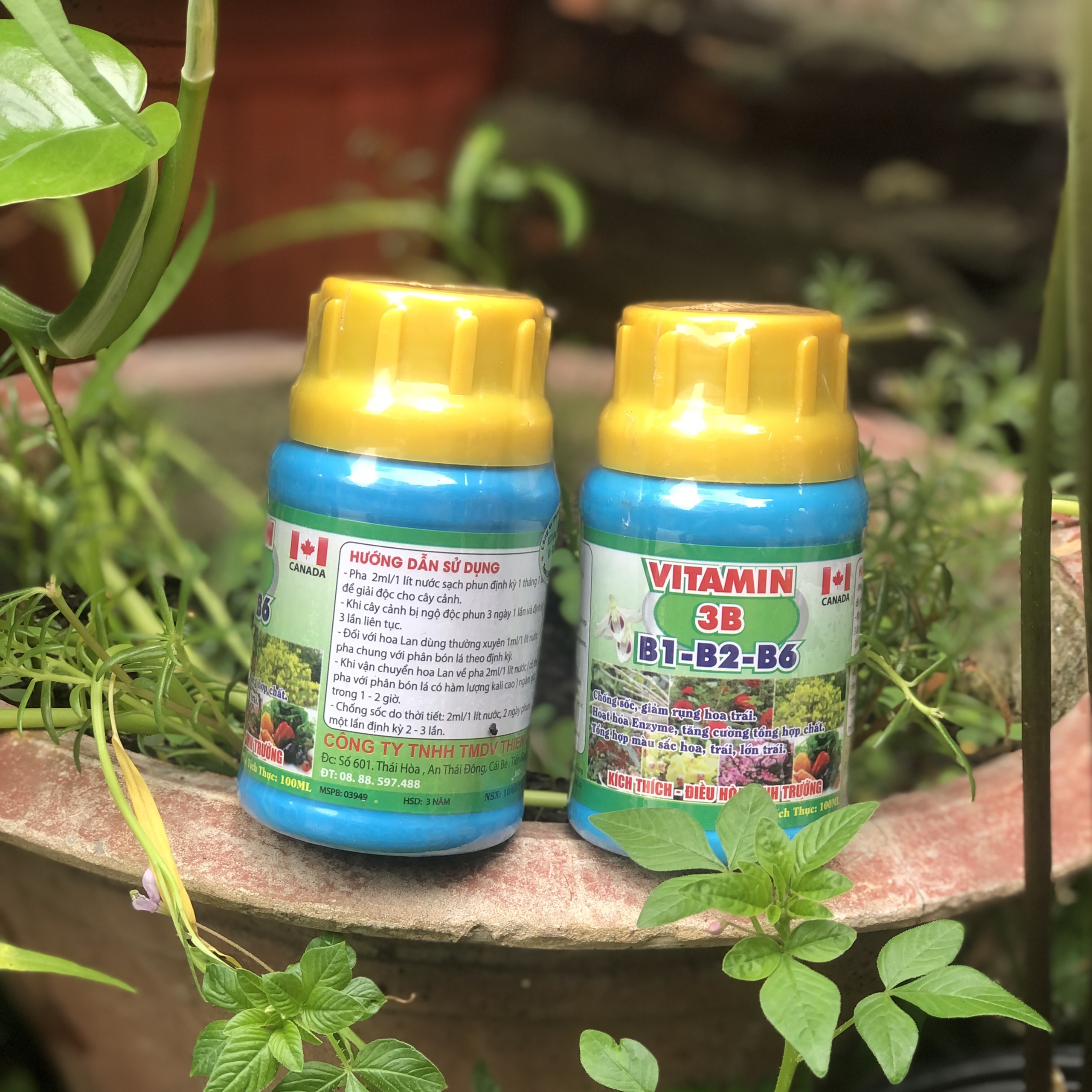 Vitamin 3B Chống sốc, giải độc, điều hòa sinh trưởng cho Lan và cây cảnh 100ml