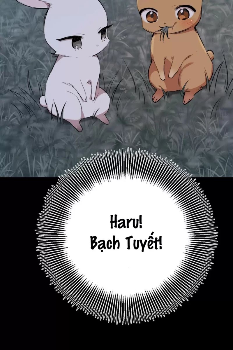 những chú thỏ của hapypy chapter 31.5 35