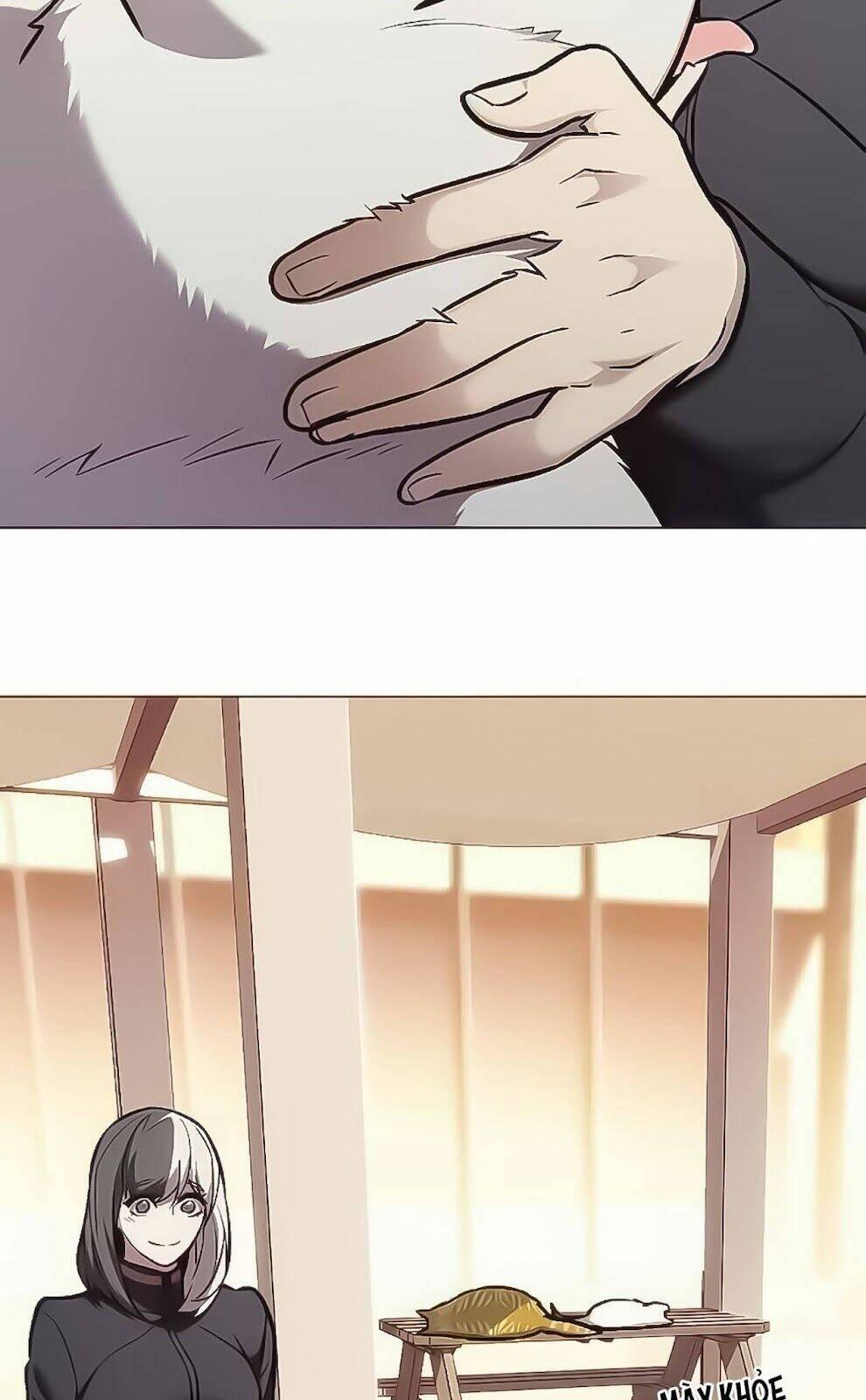 biến thân thành mèo chapter 168 28