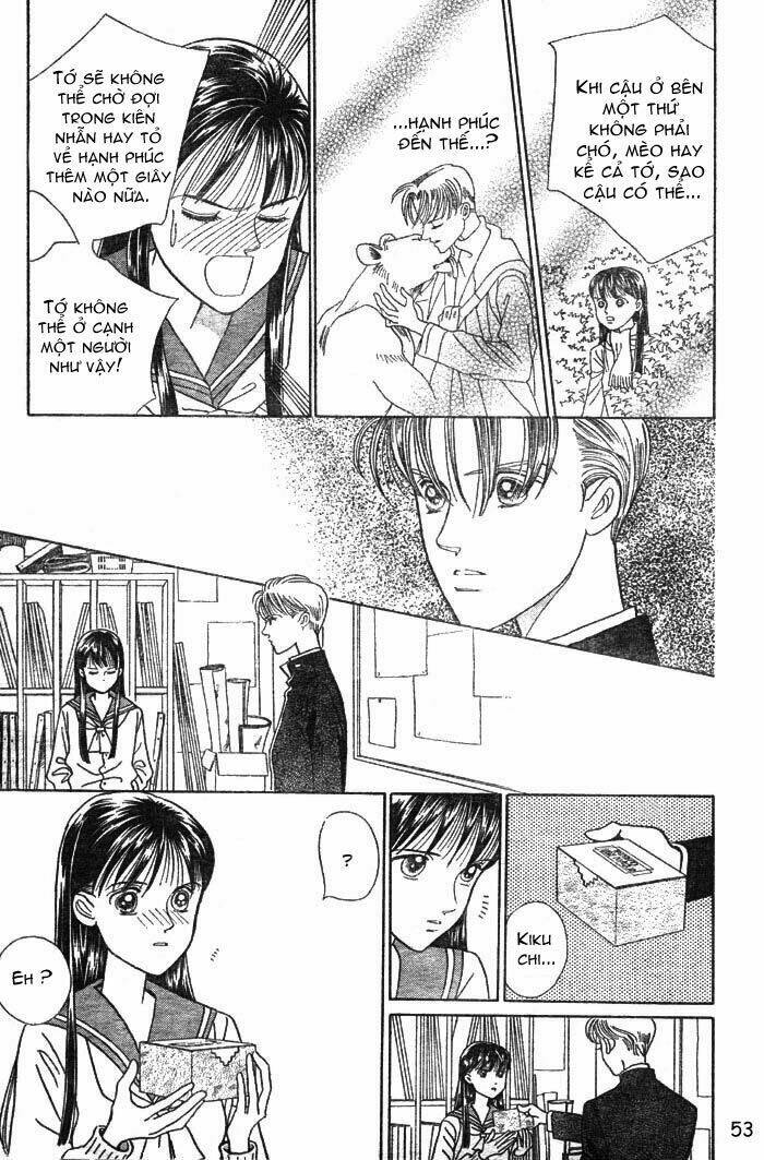 wild cats chapter 1 56