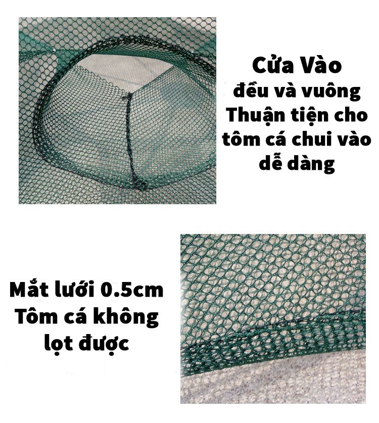 LƯỚI BẮT CÁ BÁT QUÁI