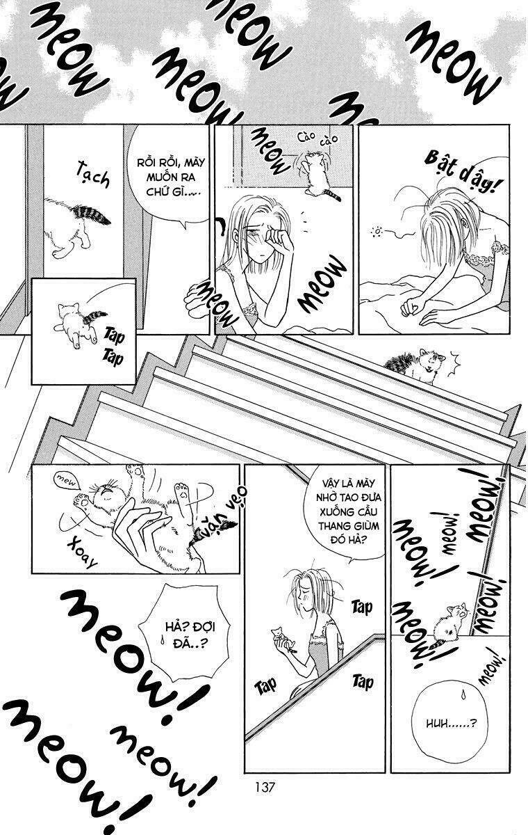 cuộc sống thường nhật của mèo zaccho chapter 1.5 21